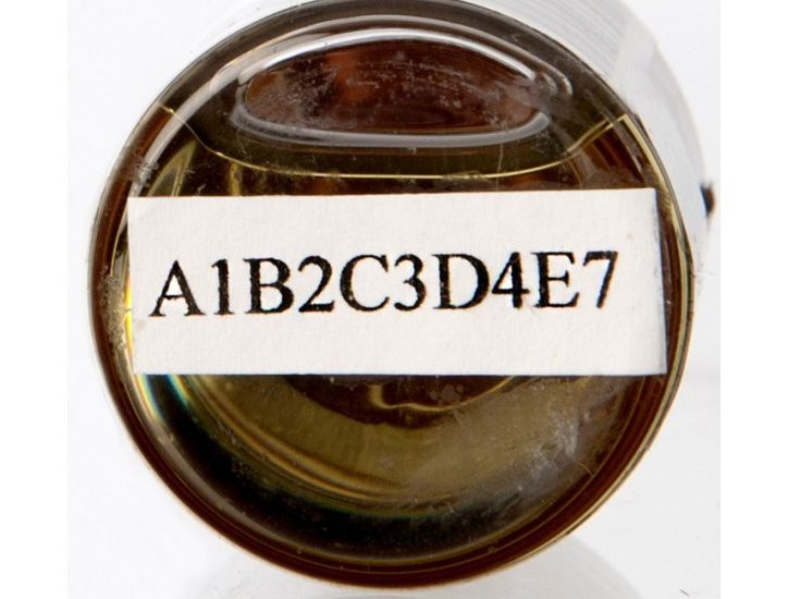 p1RtjA95lEvrtvN6SiZA-1